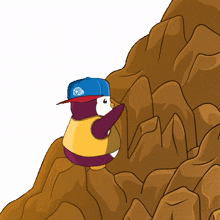 climbing rock