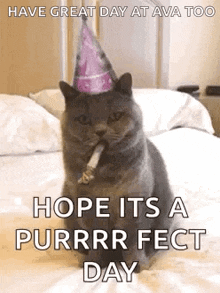 Hope Its A Perfect Day Cat GIF - Hope Its A Perfect Day Cat GIFs