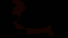 a silhouette of a bear is surrounded by a glowing fire