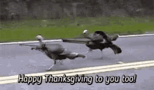 Happy Thankgiving Guns GIF - Happy Thankgiving Guns Turkey GIFs