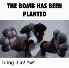 Bomb Furry GIF - Bomb Furry Furry Meme GIFs