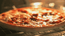 Bubbling Pizza GIF - Pizza Oven Cheese GIFs