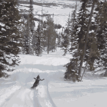 Driving Downwards On My Snowboard Red Bull GIF - Driving Downwards On My Snowboard Red Bull Sliding Down The Hill GIFs