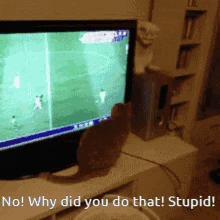cat attacks player other cat got jumpscared this kitty doesnt like tv