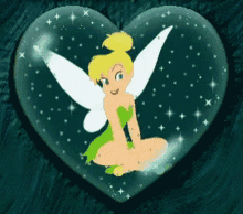 fairy xena