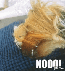 a dog is laying on a blue blanket with the word nooo written on the bottom