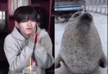 a seal sitting next to a man with his hands together