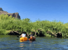 Kayaking GIF - Kayaking GIFs