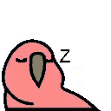 sleepy parrot
