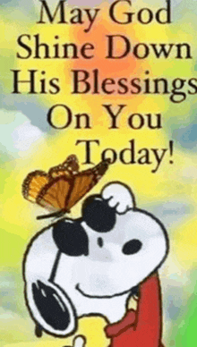 a snoopy cartoon with a butterfly on his head and the words `` may god shine down his blessings on you today ''