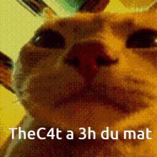 Thec4t A3h Du Mat GIF - Thec4t A3h Du Mat GIFs