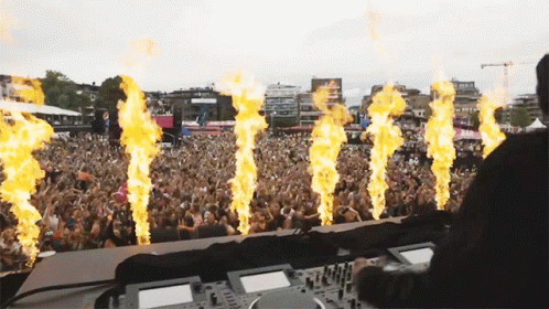 Excited Alan Walker GIF Excited Alan Fire - Discover & Share GIFs
