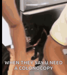 Colonoscopy Doctor GIF - Colonoscopy Doctor Shocked GIFs