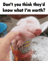 a person is holding a baby pig in front of a bush 's grilled bean can