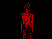 Music Red Skeleton GIF - Music Red Skeleton GIFs