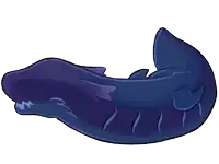 a cartoon drawing of a whale with a white background