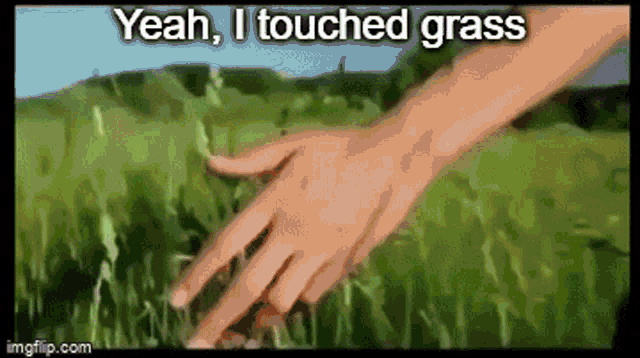 Grass Yeah I Touched Grass GIF - Grass Yeah I Touched Grass Touch -  Discover & Share GIFs