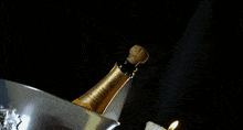 Champagne Bubbly GIF - Champagne Bubbly Celebration GIFs