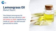 Lemongrass Oil Market Report 2024 GIF - Lemongrass Oil Market Report 2024 GIFs