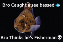 Sea Based Sea Bass GIF