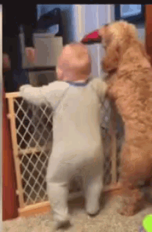 Happiness Friends GIF - Happiness Friends Baby GIFs