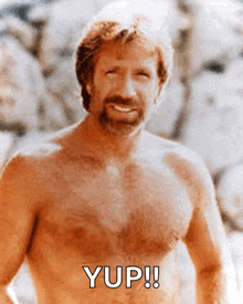 Chuck Norris Muscle GIF