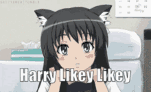 Harry Cat Girl GIF - Harry Cat Girl Anime GIFs