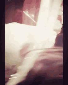 a blurred image of a person 's face with a few lines visible