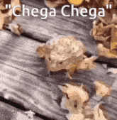 a picture of a frog on a wooden deck with the words " chega chega " written above it