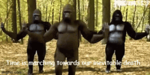 gorilla dance gorilla gorilla dancing dancing gorilla dancing monkey