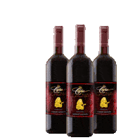 Capo Cagna Wine Sticker - Capo Cagna Wine Leah Van Dale Stickers