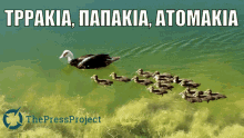 Thepressproject Minas Konstantinou GIF - Thepressproject Minas Konstantinou Tppakia GIFs