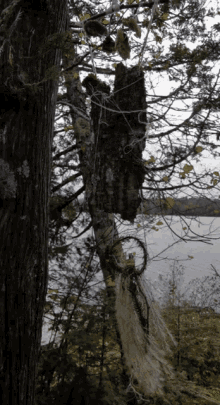 Chaos Mobile GIF