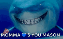 Shark Mama Love GIF - Shark Mama Love GIFs