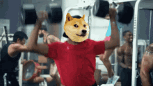 Doge Work Out GIF - Doge Work Out GIFs