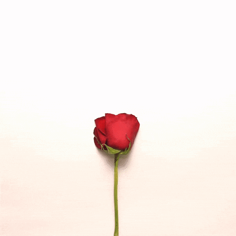 a.gif
