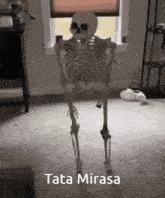 a skeleton is standing in a room in front of a window with the words tata mirasa on the bottom .