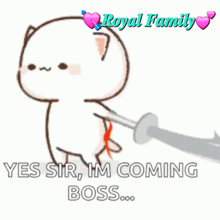 a cartoon cat is holding a sword and says yes sir im coming boss .