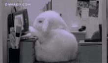 Workaholic Bunny GIF - Workaholic Bunny Tired GIFs