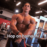 Hamachi Hop On GIF - Hamachi Hop On Sadik Hadzovic GIFs
