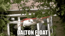 Dalton Floating GIF - Dalton Floating Rat GIFs