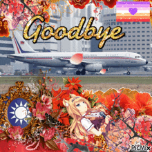 a picture of a plane with the words goodbye written on it