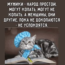 a cat with a scarf around its neck is laying on a book
