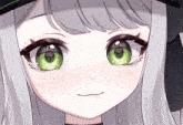 a close up of a girl with green eyes