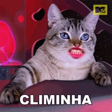 Climinha Climao GIF - Climinha Climao Mood GIFs