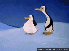Pablo Penguins GIF