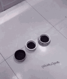 Puppies Food GIF - Puppies Food Hungry GIFs