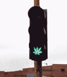 High Weed GIF - High Weed Stoplight GIFs