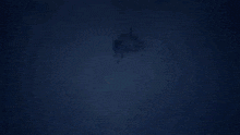 a person wearing a hat and a shield is standing in a dark forest .
