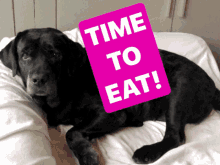 Eat Hungry GIF - Eat Hungry Celebrate GIFs